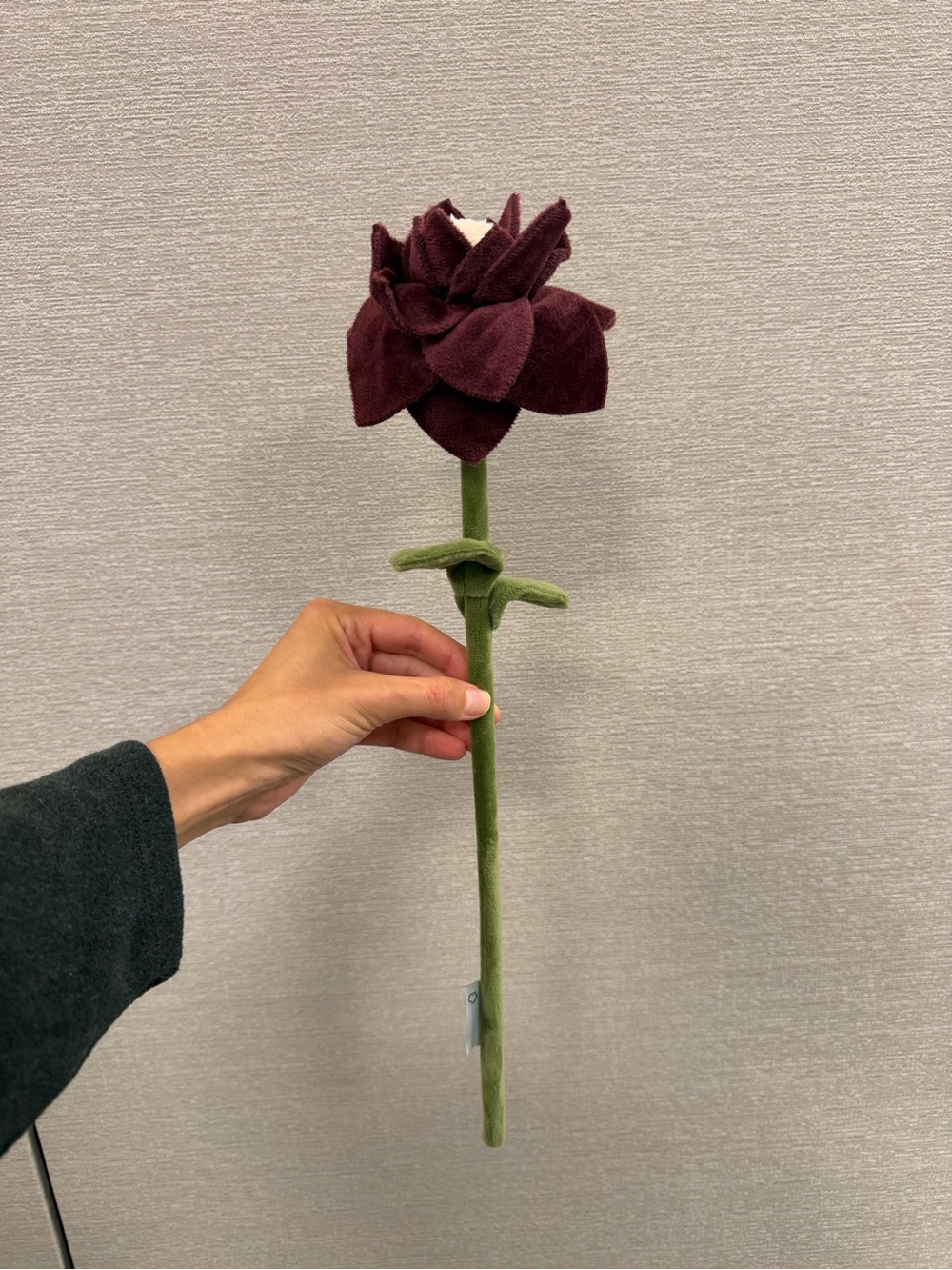 CJ Hendry Flower Market (Rockefeller Center
2026) Onyx Burgundy Hellebore
